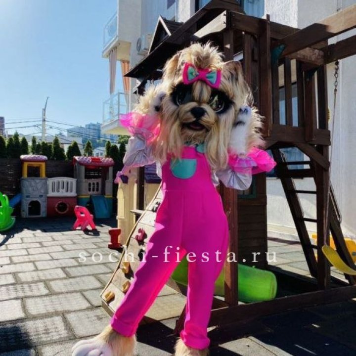 Аниматор Гламурная Собака в Липецке
