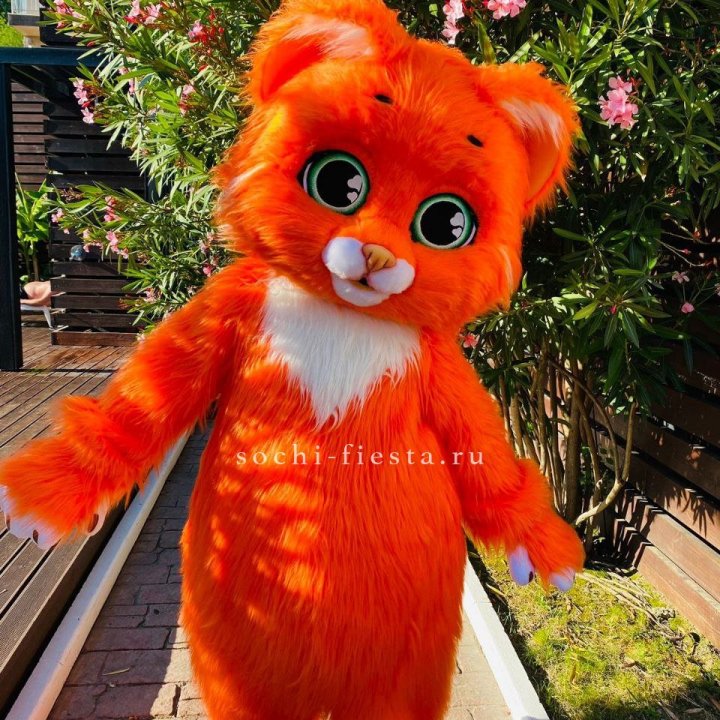 Аниматор Котик в Липецке