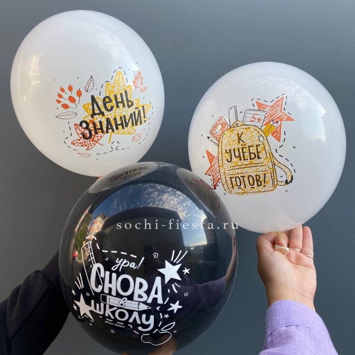 Воздушный шар к 1 сентября в Липецке