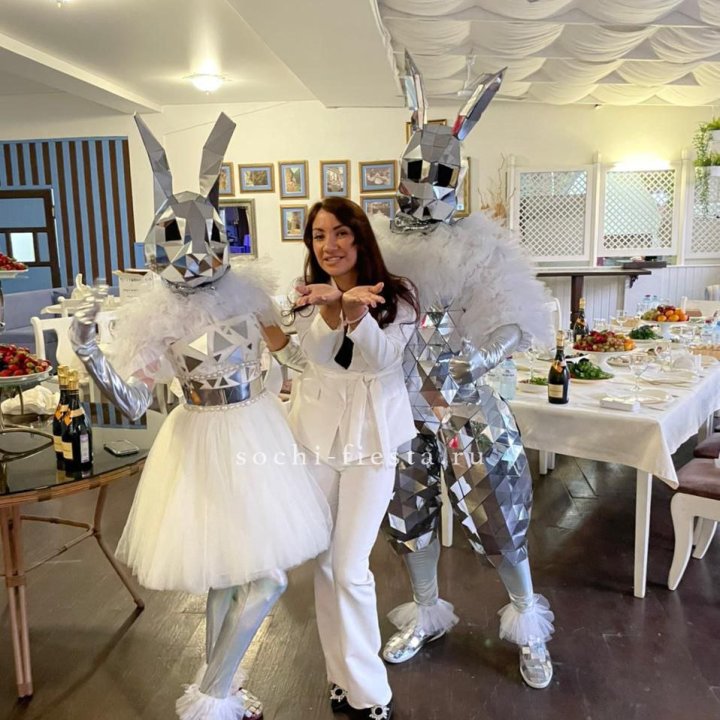 Аниматор Зеркальный заяц в Липецке