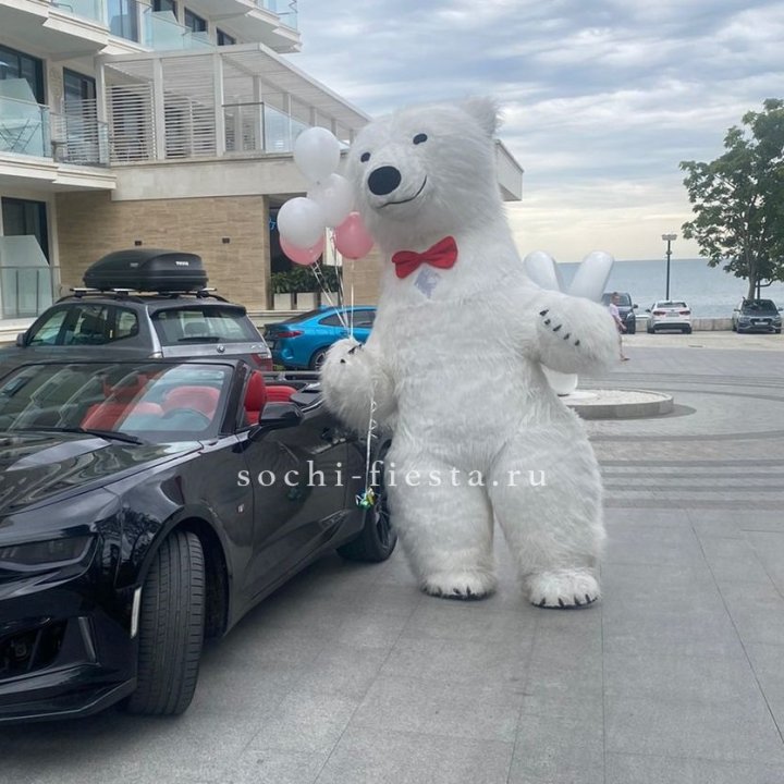 Аниматор Белый Медведь в Липецке