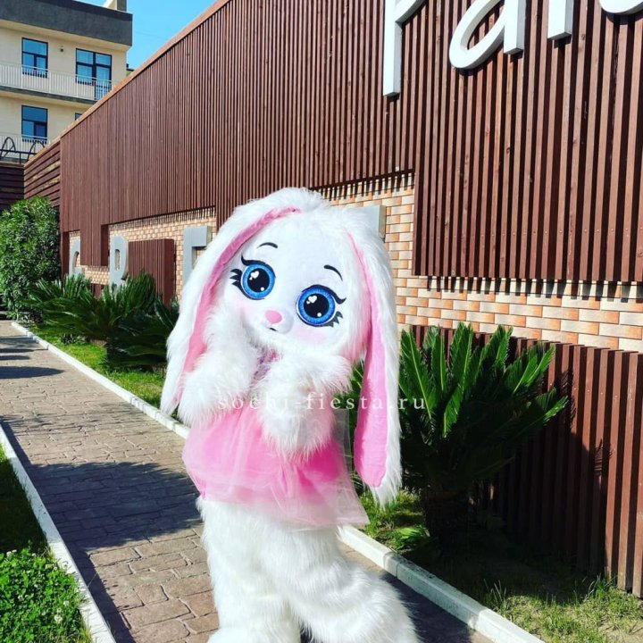 Аниматор Зайка в Липецке