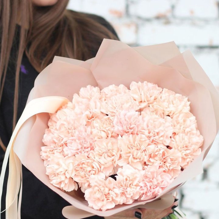 Диантусы №2 в Липецке