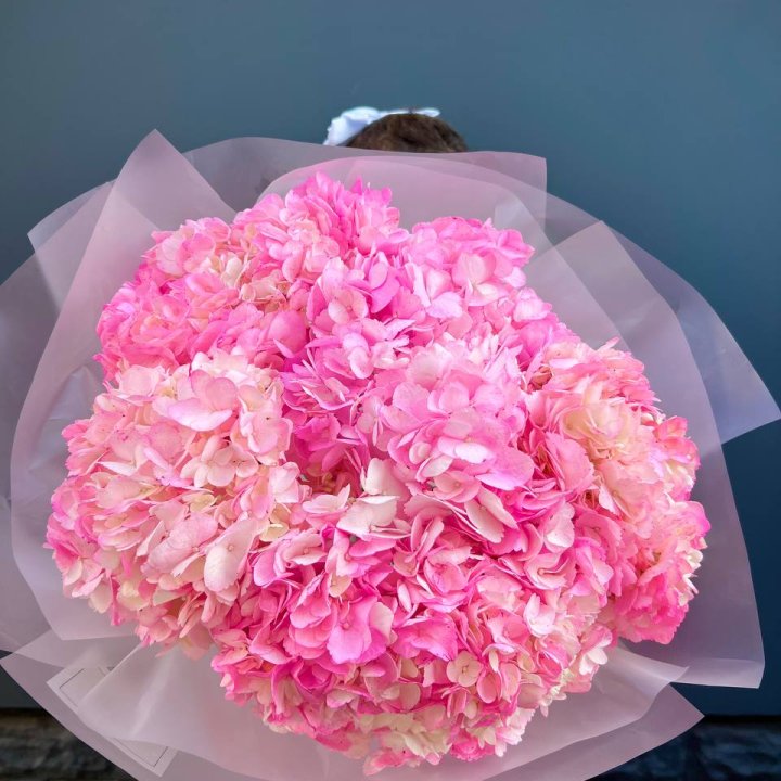 9 ярко розовых гортензий в Липецке