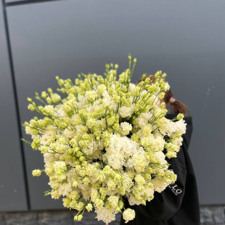 51 белая эустома в Липецке