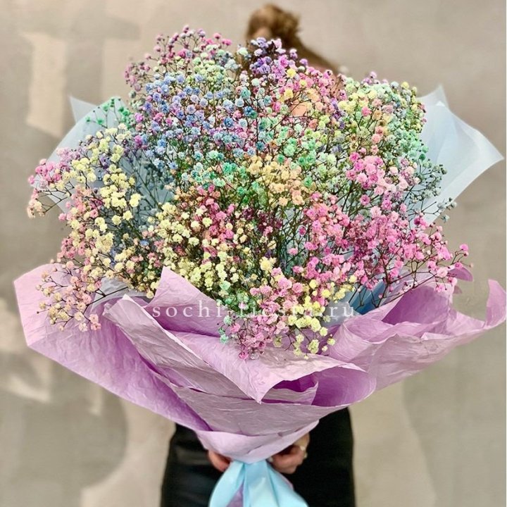 Радужные гипсофилы №2 в Липецке