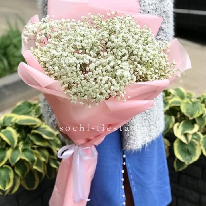 Белоснежные гипсофилы в Липецке