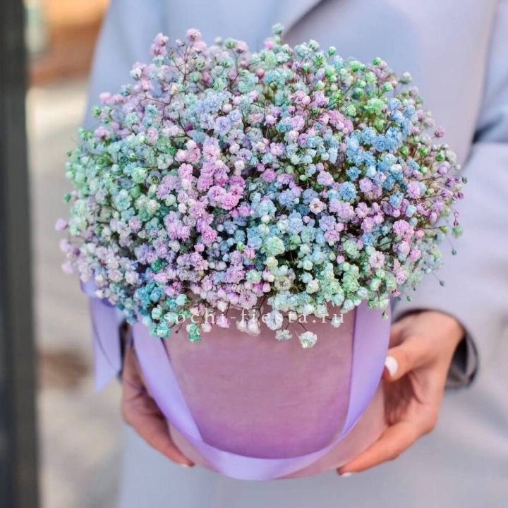 Гипсофилы в шляпной коробке "Кандилайт" в Липецке