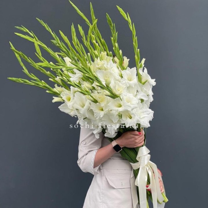 19 белых гладиолусов под ленту в Липецке