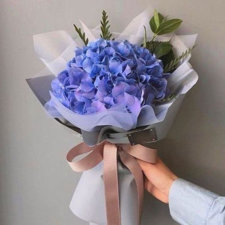 Гортензия голубая в Липецке