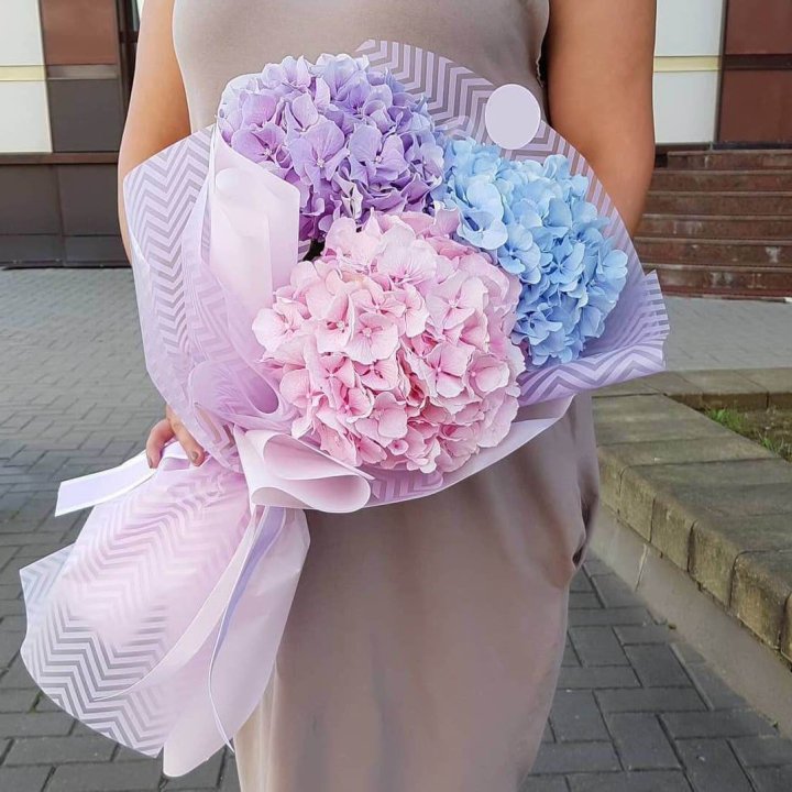 Букет гортензий "Пуф" в Липецке