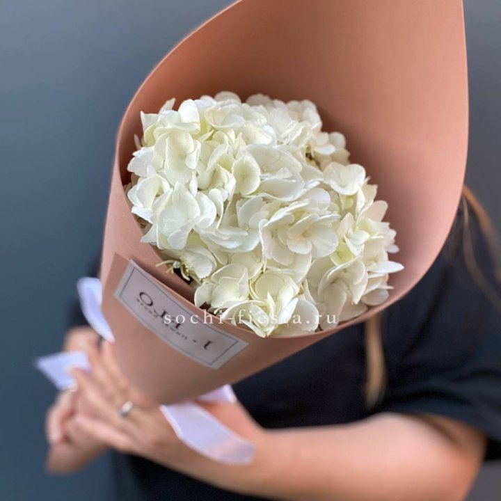 Гортензия в конверте в Липецке