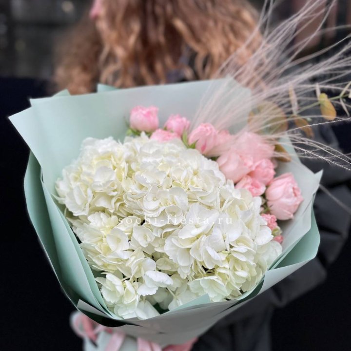 Гортензия "Жасмин" в Липецке