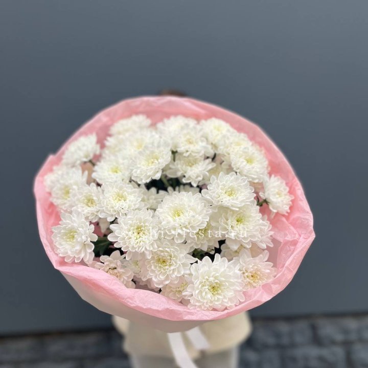  5 хризантем  в Липецке