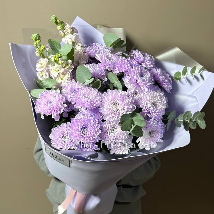 Дуо хризантема и маттиола в Липецке