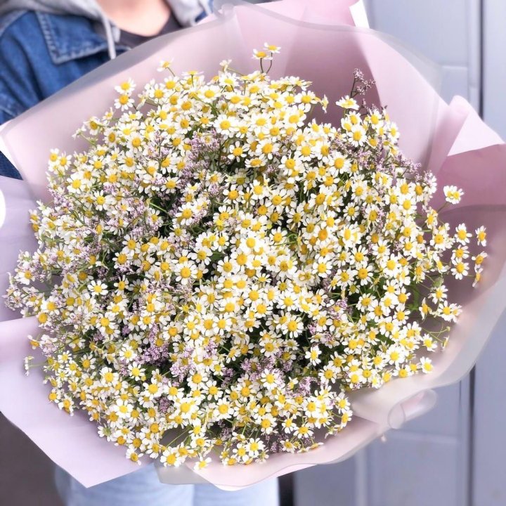 Букет ромашек №1 в Липецке