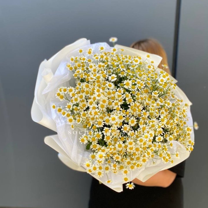 Букет ромашек "Фемели" в Липецке