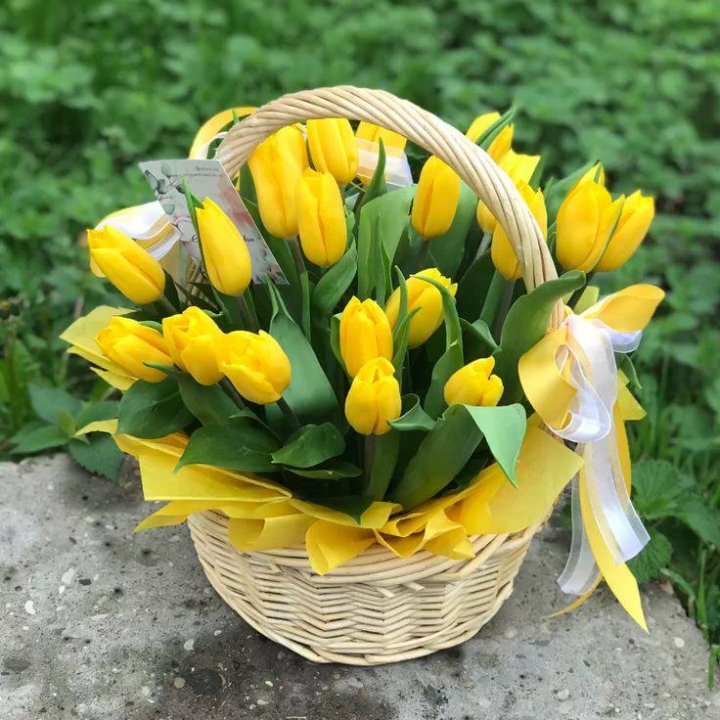 25 желтых тюльпанов в корзине в Липецке