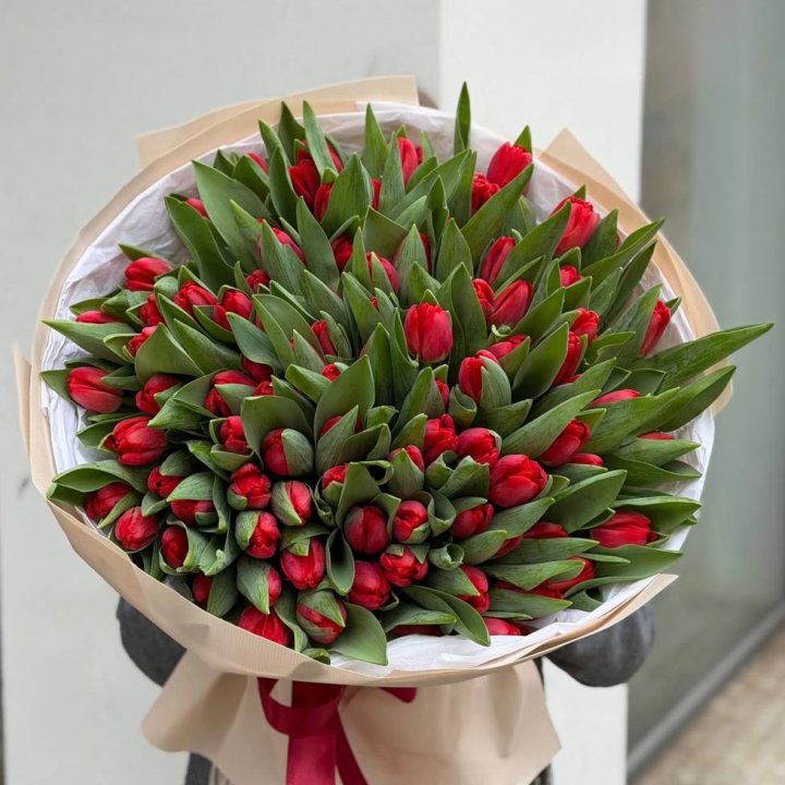 101 красный тюльпан в Липецке