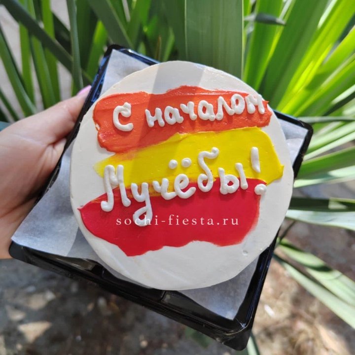 Бенто-торт "С началом учёбы"" в Липецке