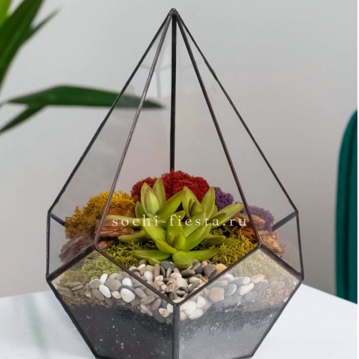 Флорариум Капля с суккулентом в Липецке