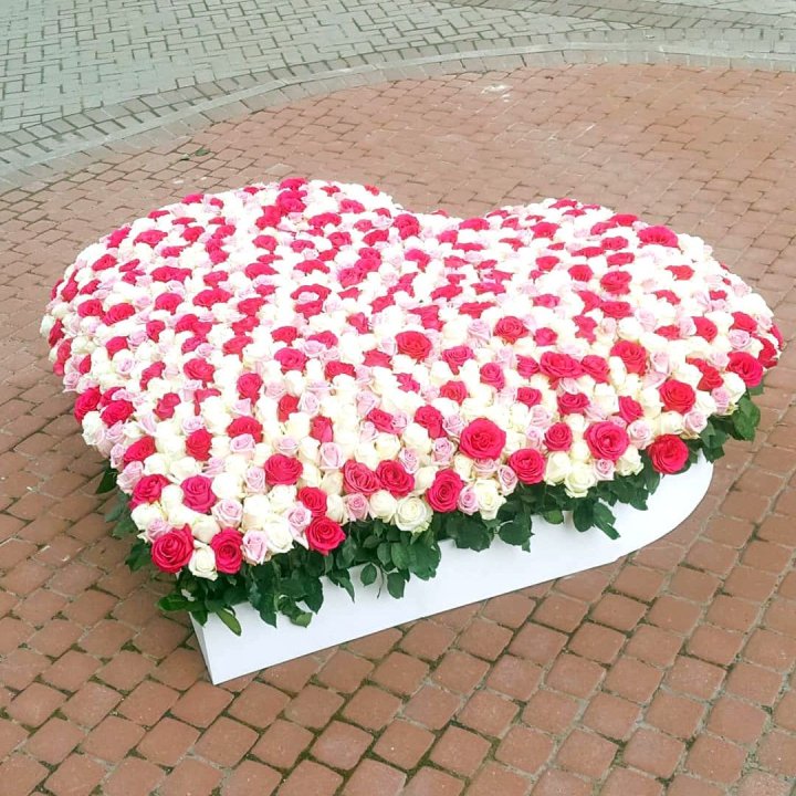 555 роза  в Липецке