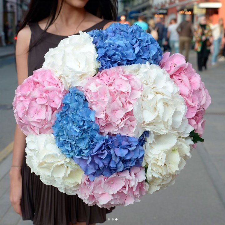 Букет гортензий "Инь-Янь" в Липецке