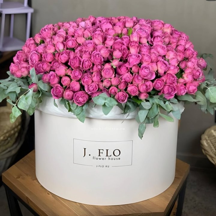 Цилиндр с Мисти Бабблс  в Липецке