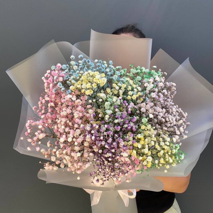 Радужные гипсофилы  в Липецке