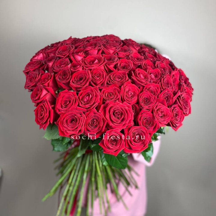 101  голландская роза  в Липецке