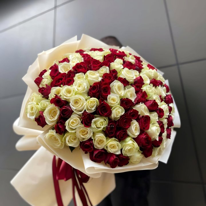 101 высокая импортная роза  в Липецке