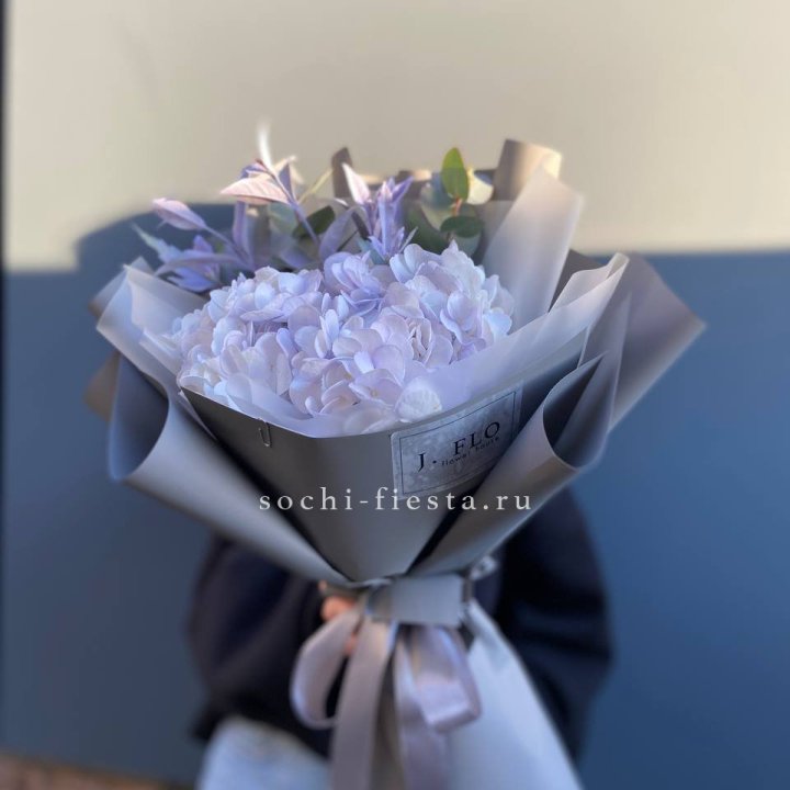 Гортензия "Виолета" в Липецке