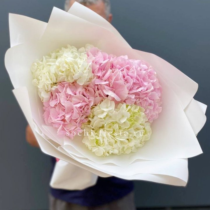 Букет гортензий №5 в Липецке