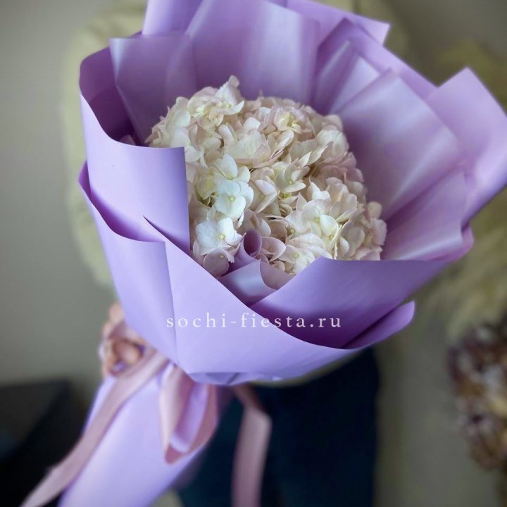 Гортензия розовая в Липецке