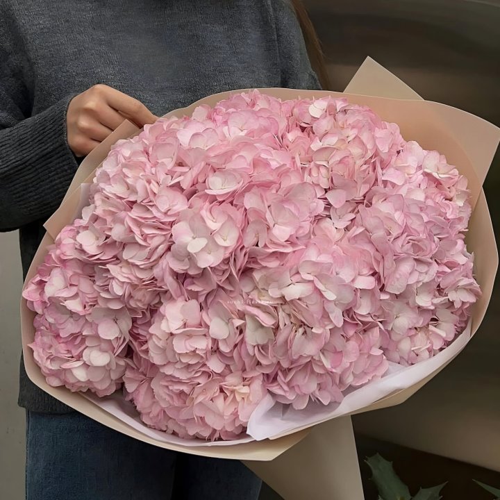 Гортензия  "РОЗЕ" в Липецке