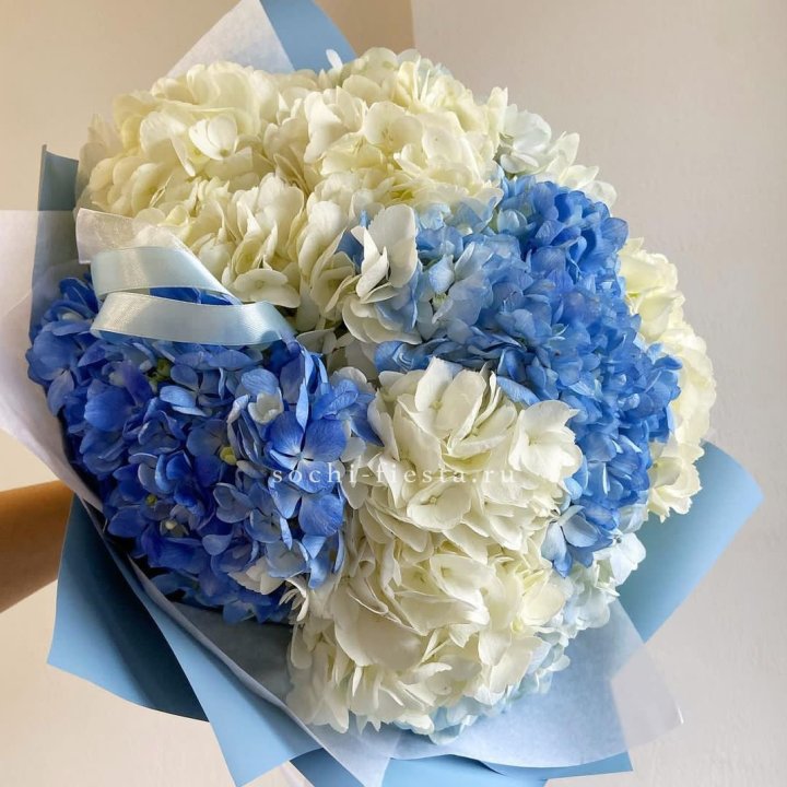 Букет гортензий "Голубая лаза" в Липецке