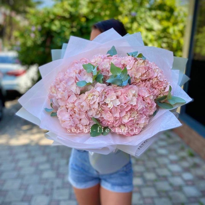 5 розовых гортензий  в Липецке