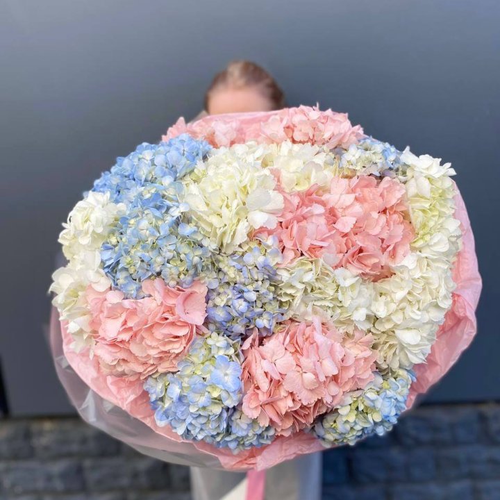 19 гортензий микс в Липецке