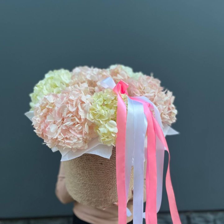 7 гортензий в кашпо в Липецке