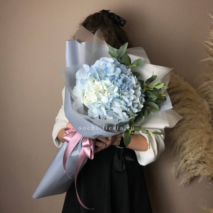 Гортензия Уно в Липецке