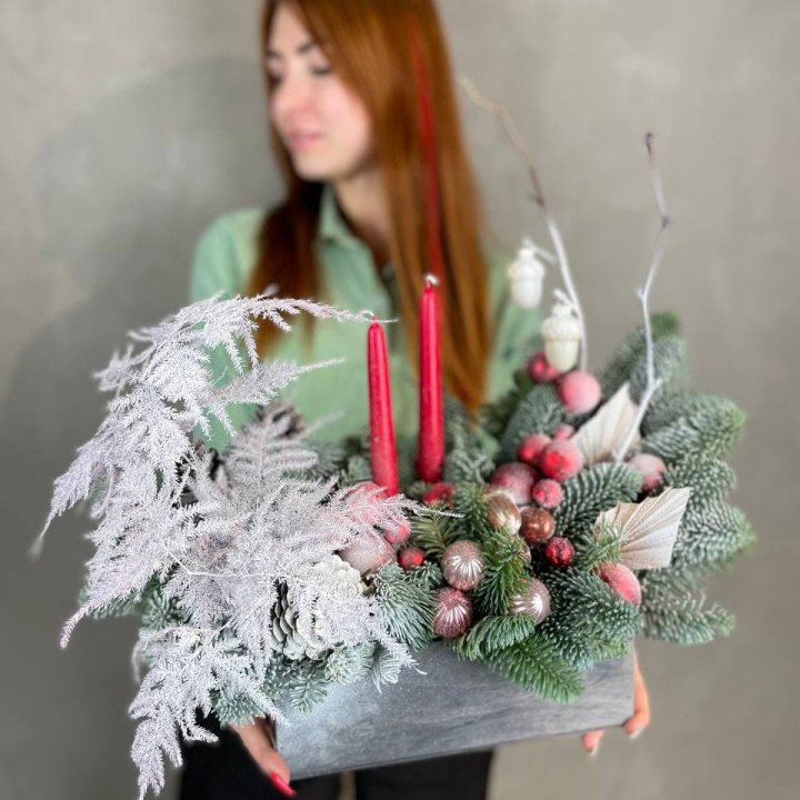 Бокс красный с нобилисом в Липецке