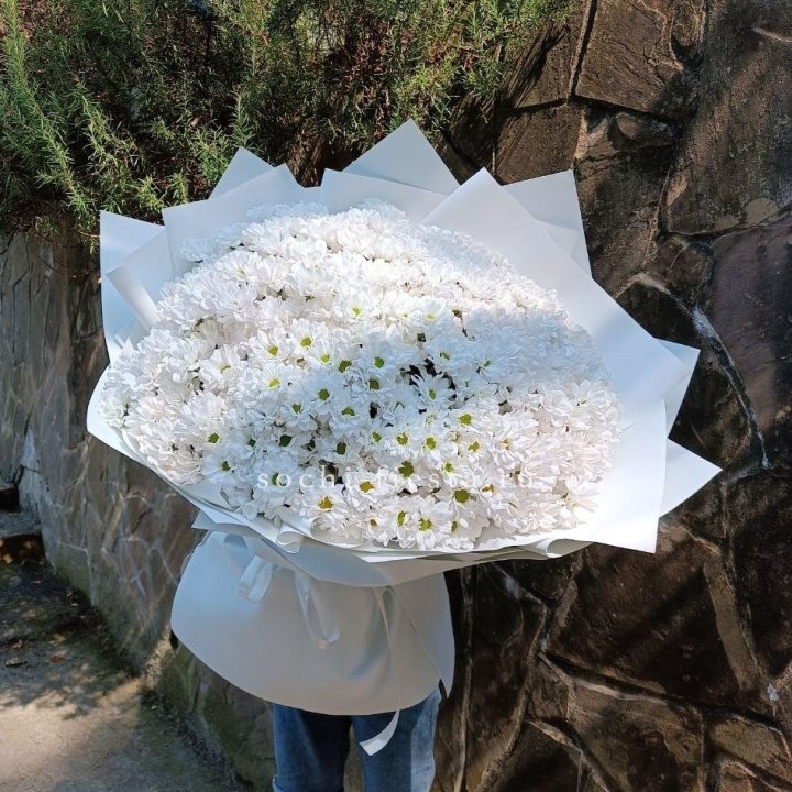 Облако хризантем №2 в Липецке