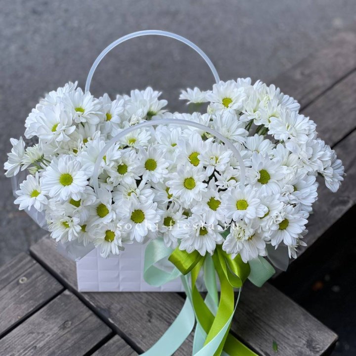 Сумка с хризантемами ромашками в Липецке