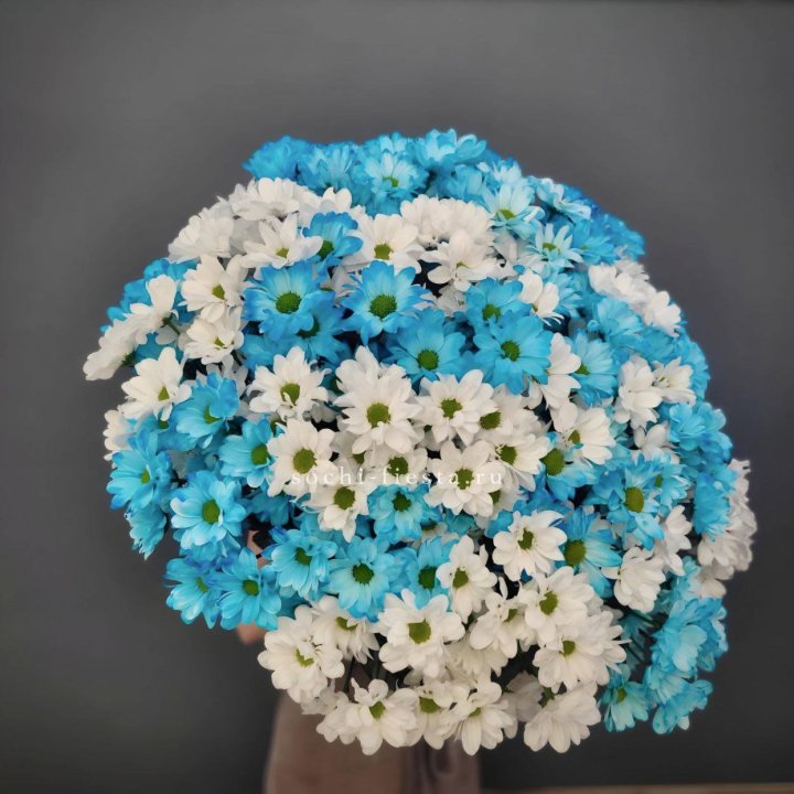  Букет хризантем микс в Липецке