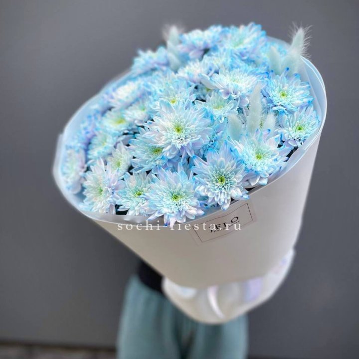  Букет нежно-голубых хризантем  в Липецке