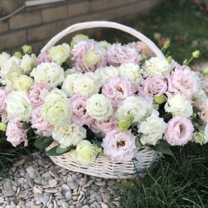 Корзина с эустомой в Липецке