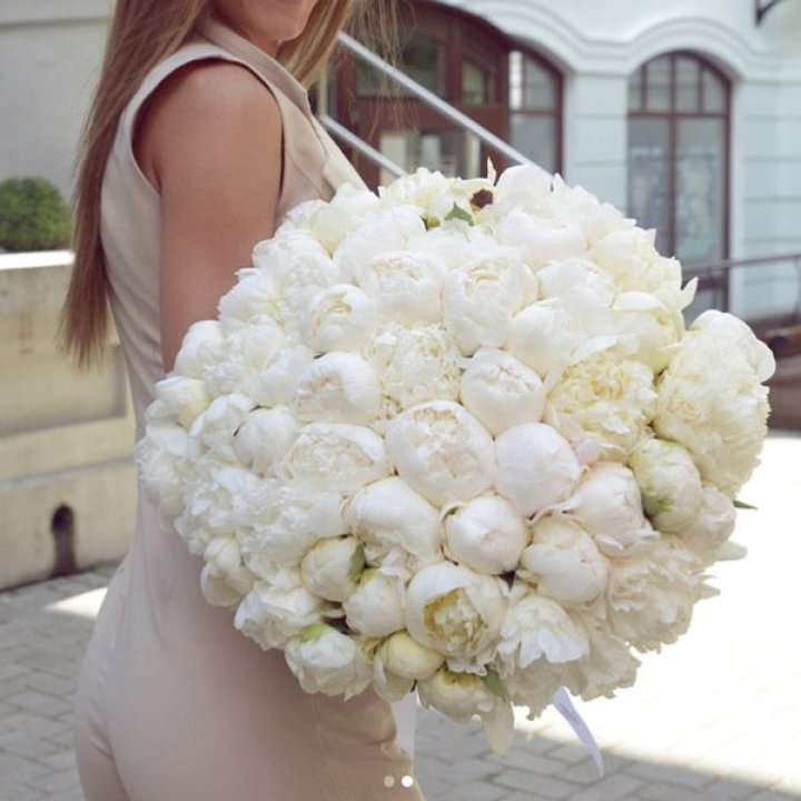 51 белый пион в Липецке