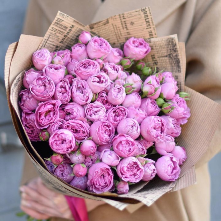 Роза Мисти Баблс в Липецке