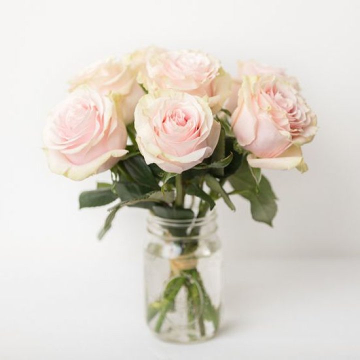 7 кремовых роз в Липецке