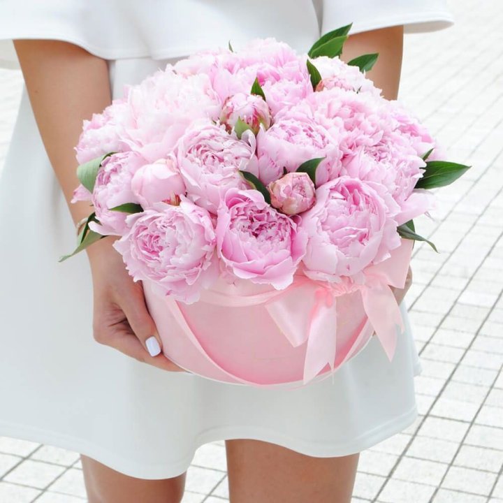 Пионы в шляпной коробке в Липецке